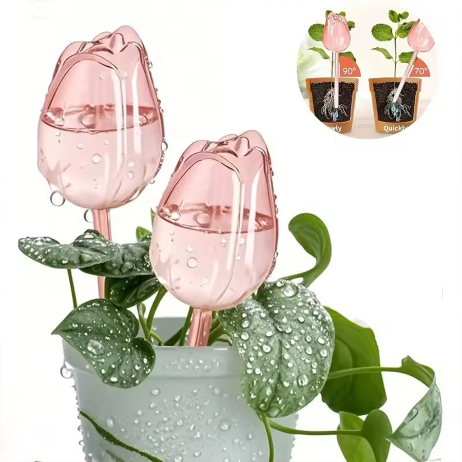 Gardening Tools For Home - 투명하고 두꺼운 PET 재질의 튤립 모양