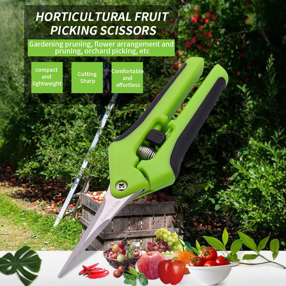 Gardening Tools Uses - 뾰족한 과일 수확 가위 1개 스프링