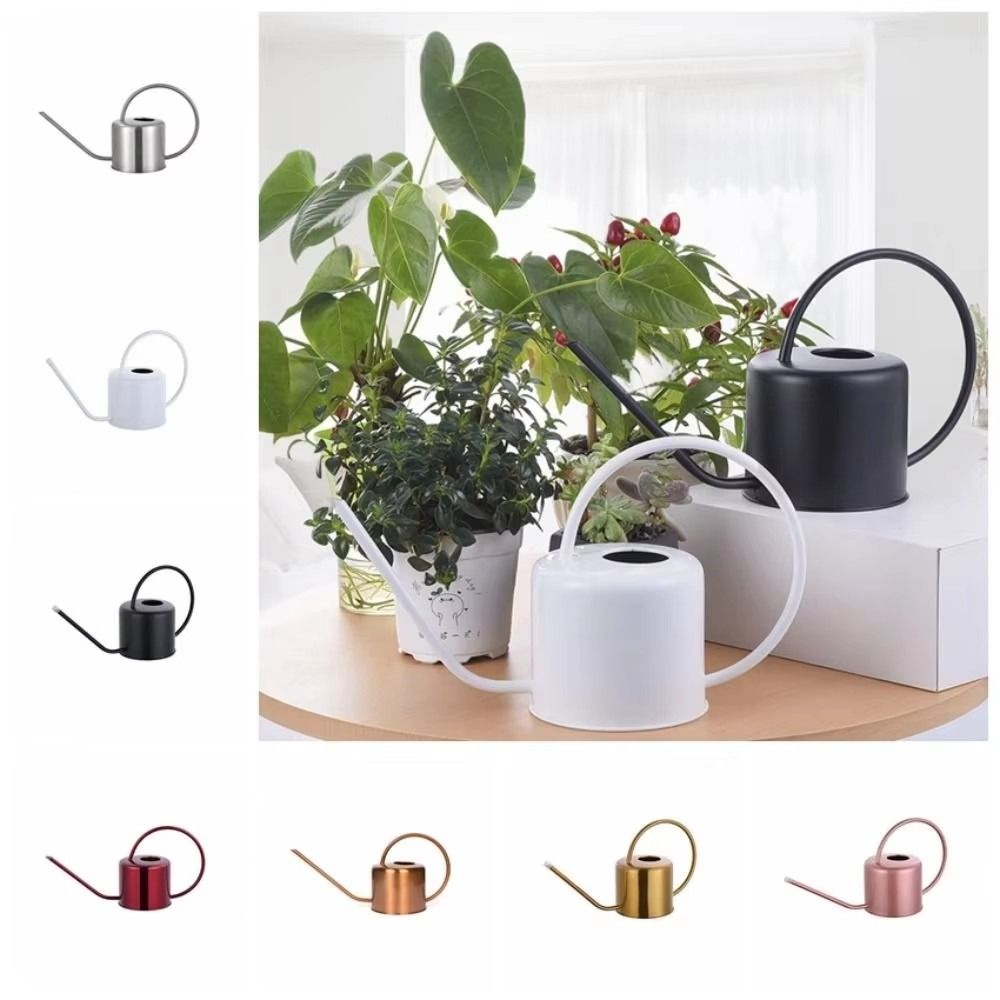 1.3L 식물 스프링클러 물뿌리개 스테인리스 스틸 긴  - Watering Can Long Spout 리뷰 및 가격