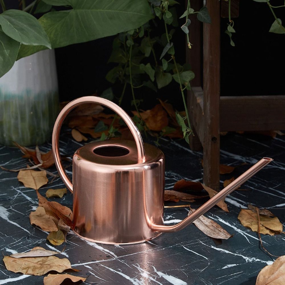 1.3L 식물 스프링클러 물뿌리개 스테인리스 스틸 긴  - Watering Can Long Spout 리뷰 및 가격