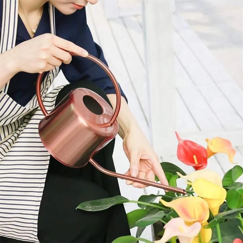 1.3L 식물 스프링클러 물뿌리개 스테인리스 스틸 긴  - Watering Can Long Spout 리뷰 및 가격