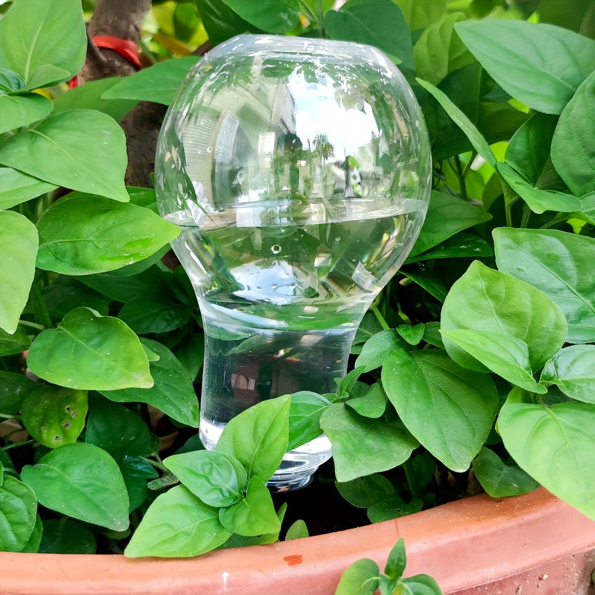 정원 자동 급수 도구 실내 물방울 관개 집 식물에 대한 - Gardening Tools Water 리뷰 및 가격
