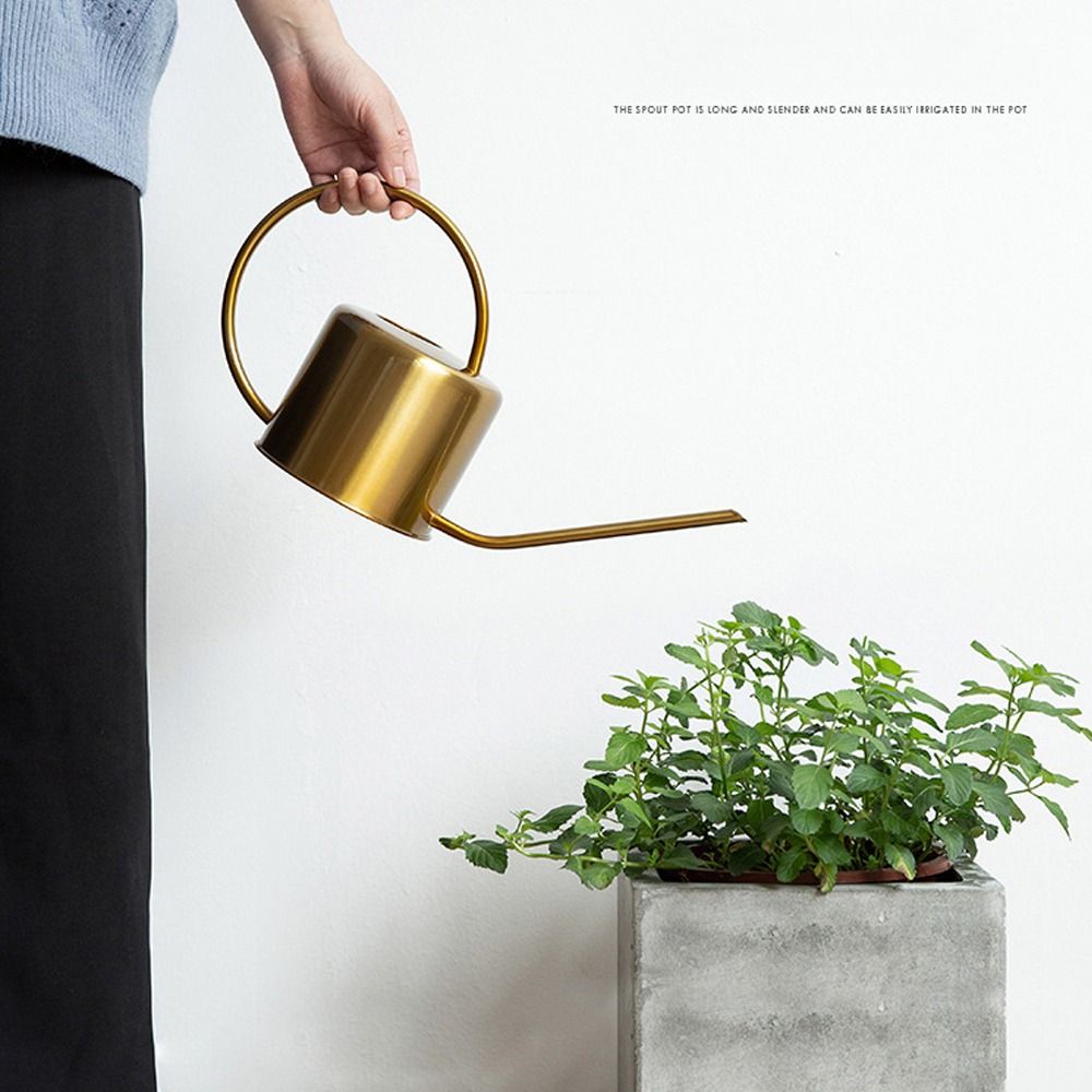 U 고품질 1.3L 식물 스프링클러 주전자 대용량 긴  - Watering Can Long Spout 리뷰 및 가격