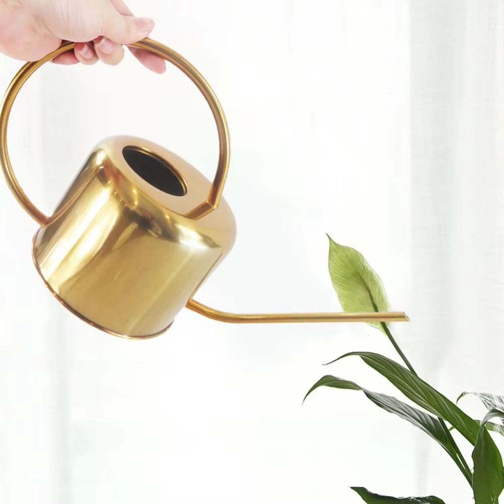 U 고품질 1.3L 식물 스프링클러 주전자 대용량 긴  - Watering Can Long Spout 리뷰 및 가격