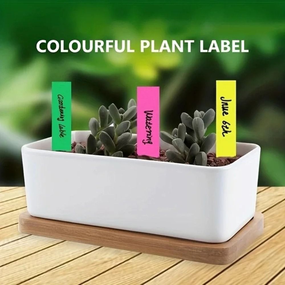 100개 플라스틱 재질 식물 태그 5*1cm 크기 재사 - Gardening Tool Diy 리뷰 및 가격