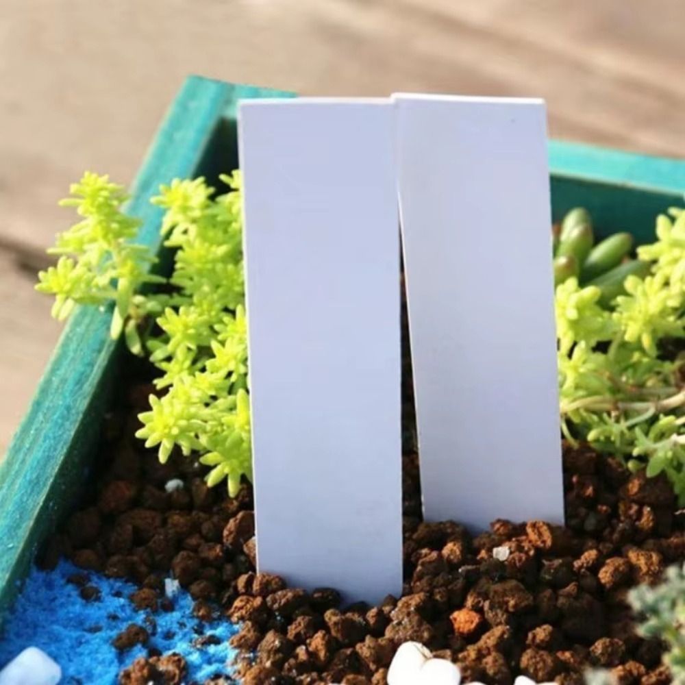 100개 플라스틱 재질 식물 태그 5*1cm 크기 재사 - Gardening Tool Diy 리뷰 및 가격