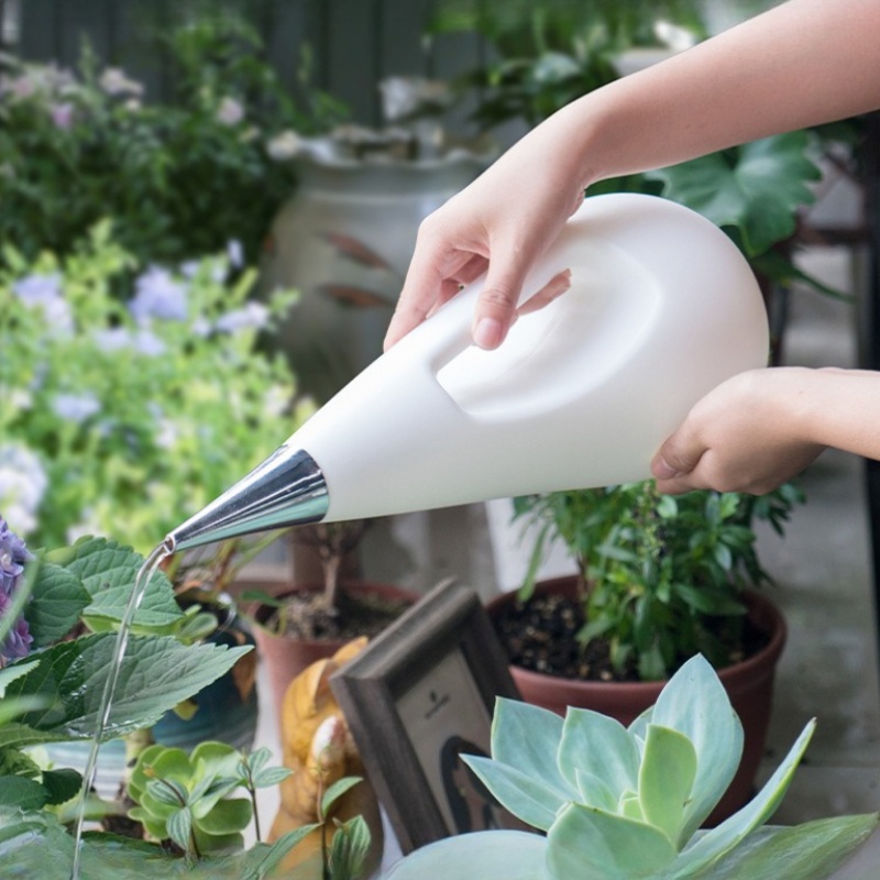 실내 식물용 긴 주둥이 물뿌리개 스테인리스 스틸 노즐이 - Watering Can Long Spout 리뷰 및 가격