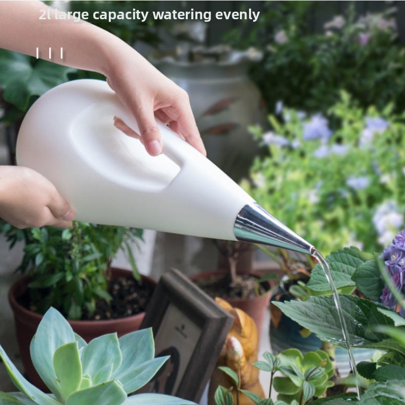 실내 식물용 긴 주둥이 물뿌리개 스테인리스 스틸 노즐이 - Watering Can Long Spout 리뷰 및 가격