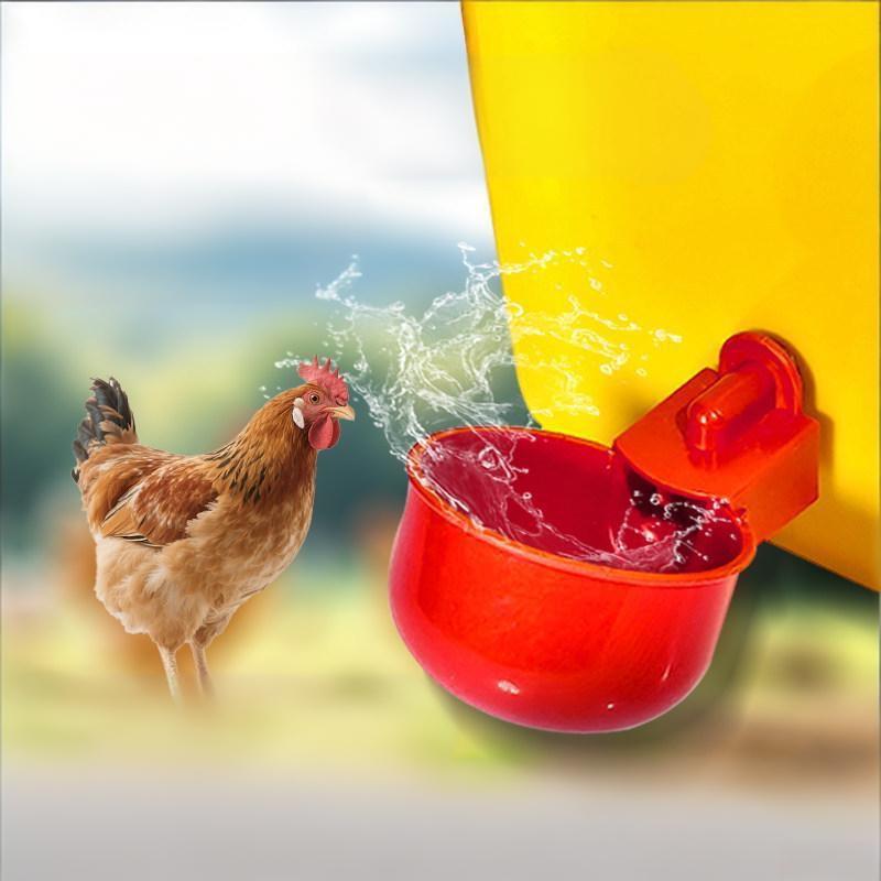 * 10/20Pcs 치킨 오리 음수 컵 자동 급수기 치 - Fertilizer Dispenser 리뷰 및 가격