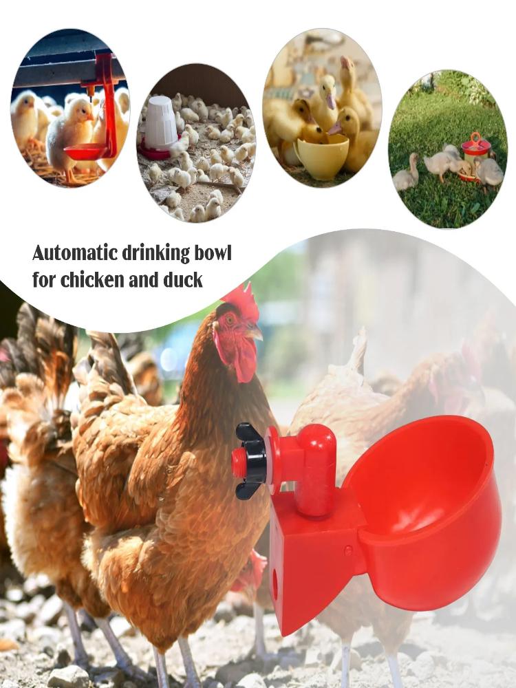 * 10/20Pcs 치킨 오리 음수 컵 자동 급수기 치 - Fertilizer Dispenser 리뷰 및 가격