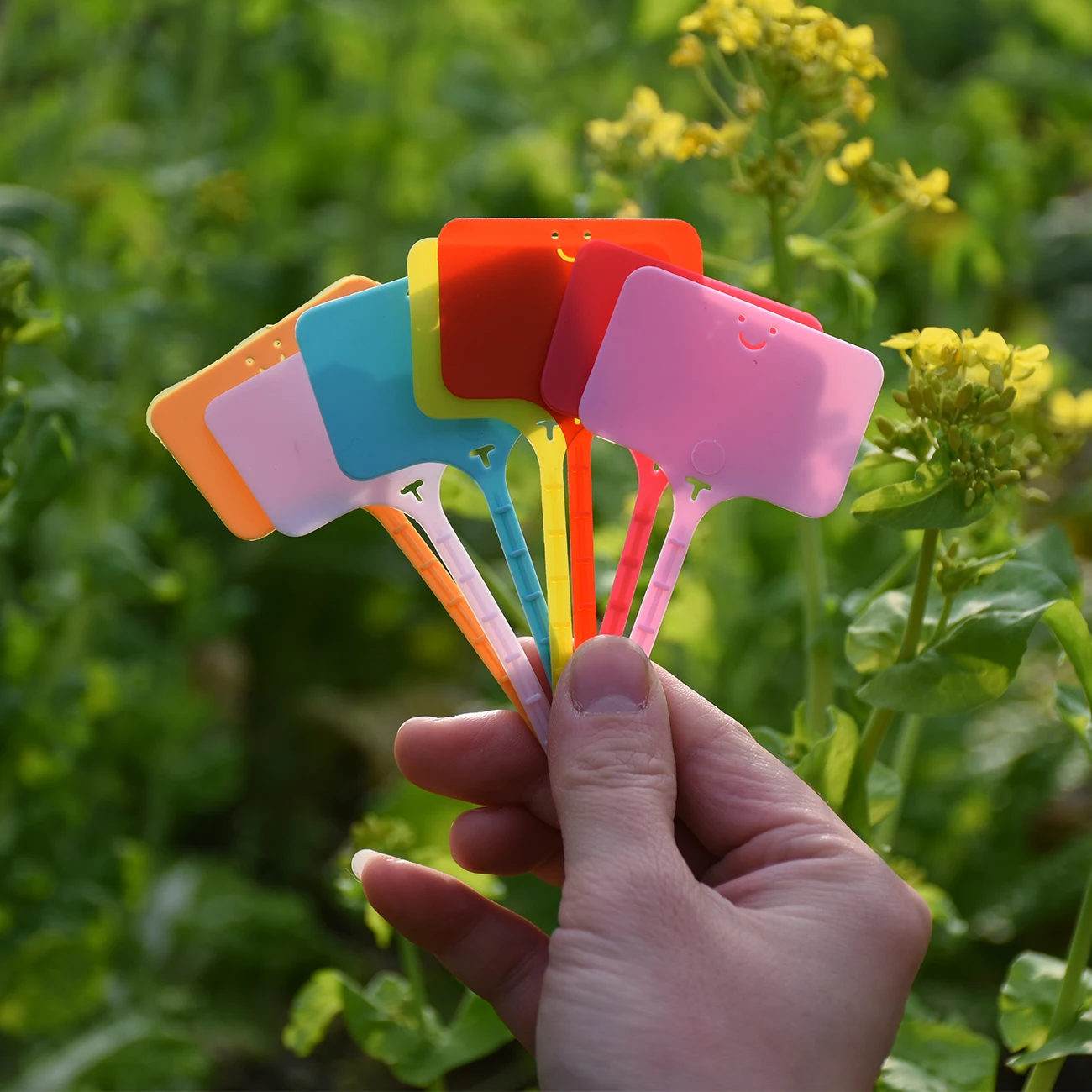 50 개입 방수 정원 식물 라벨 플라스틱 태그 묘목장  - Gardening Tool Diy 리뷰 및 가격