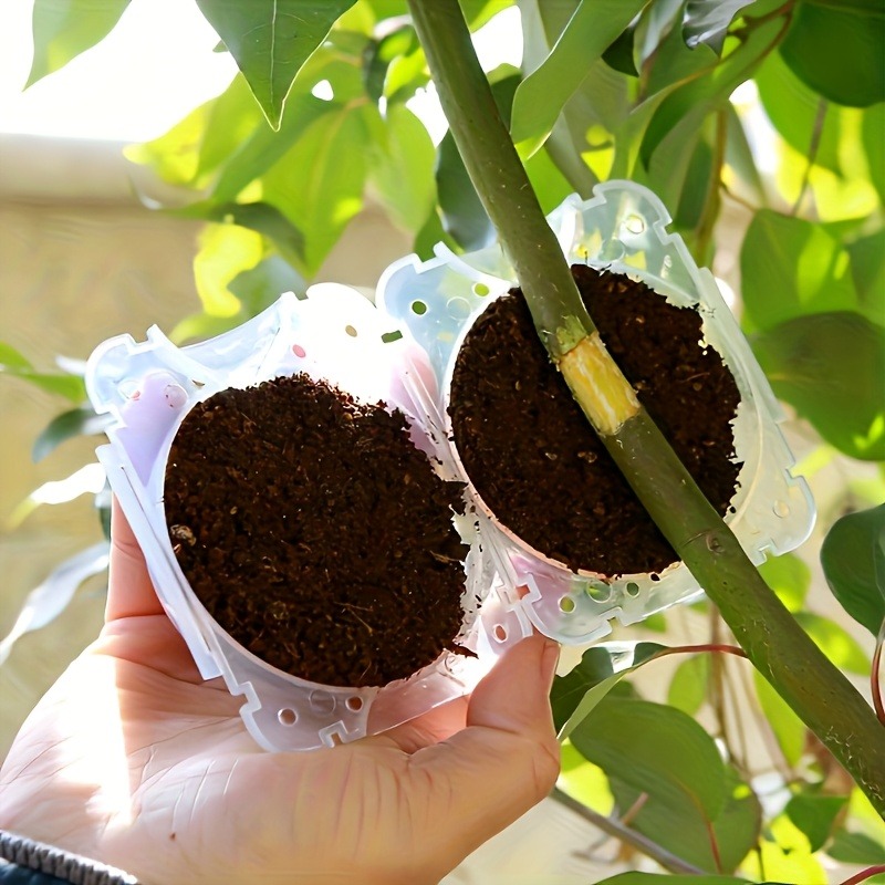10개입 고압 식물 뿌리화 번식 상자 키트, 정원용 압 - Gardening Tools Uses 리뷰 및 가격